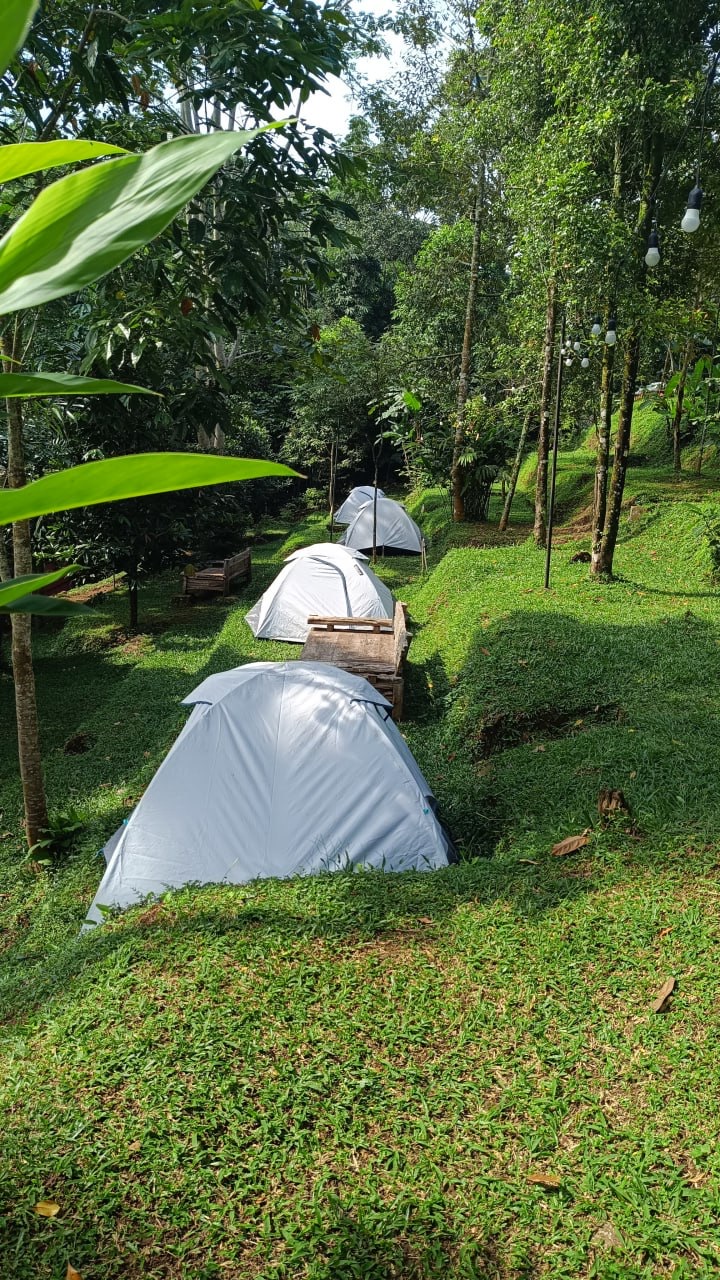 IMG_20250219_143651_228