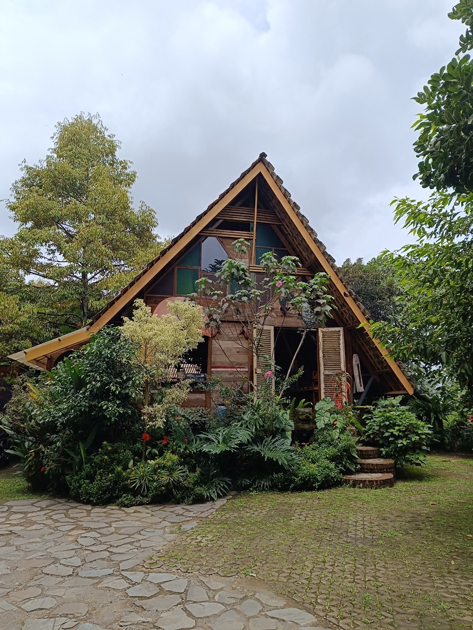 IMG_20250310_111458 Large