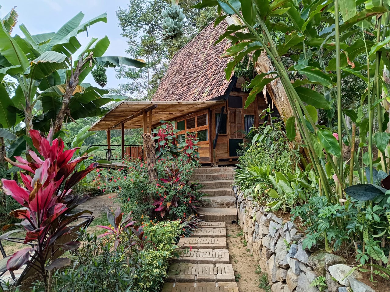 IMG_20250326_111843_645