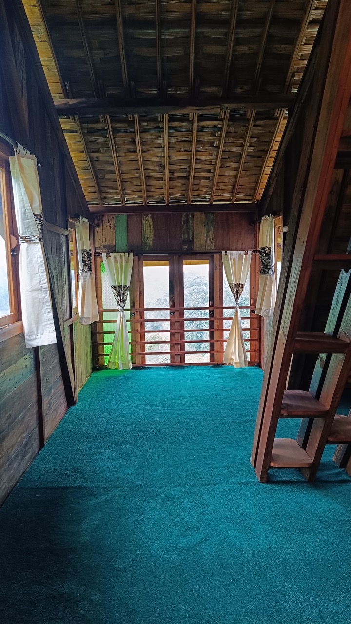 IMG_20250326_162724 Large