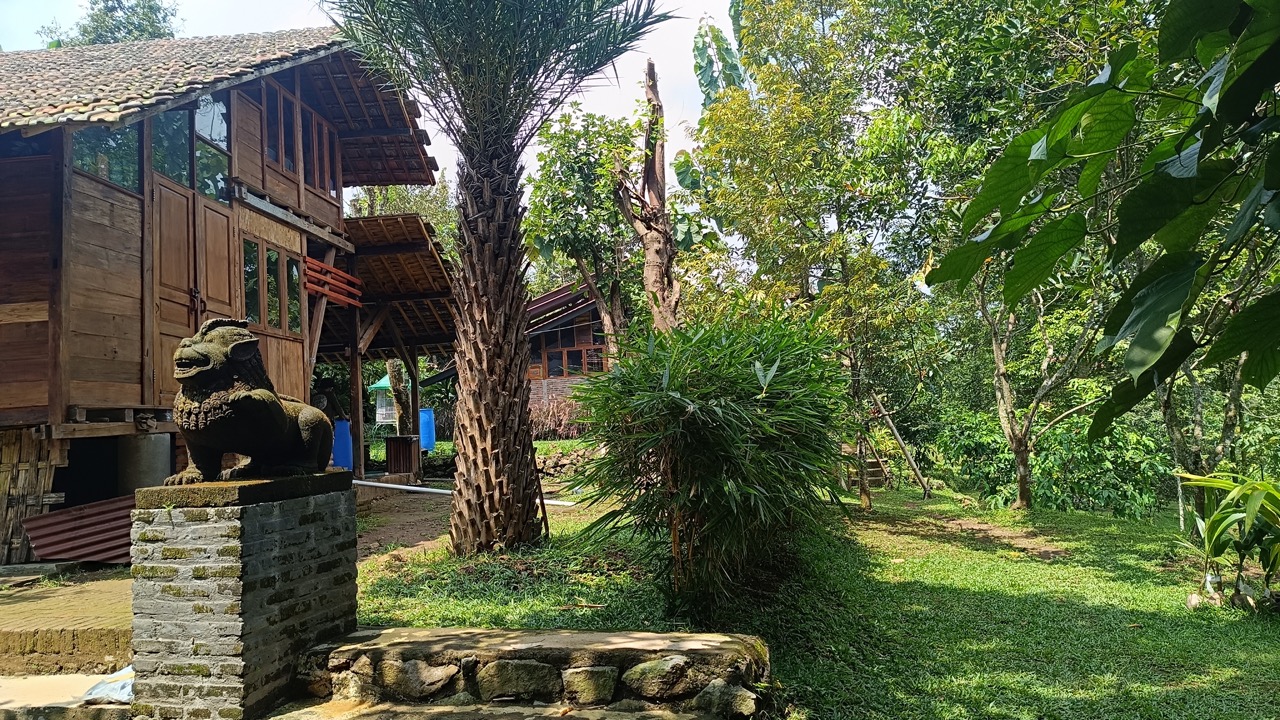 IMG_20250414_103449 Large