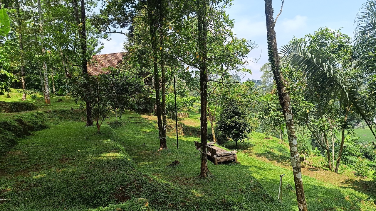 IMG_20250414_103924 Large