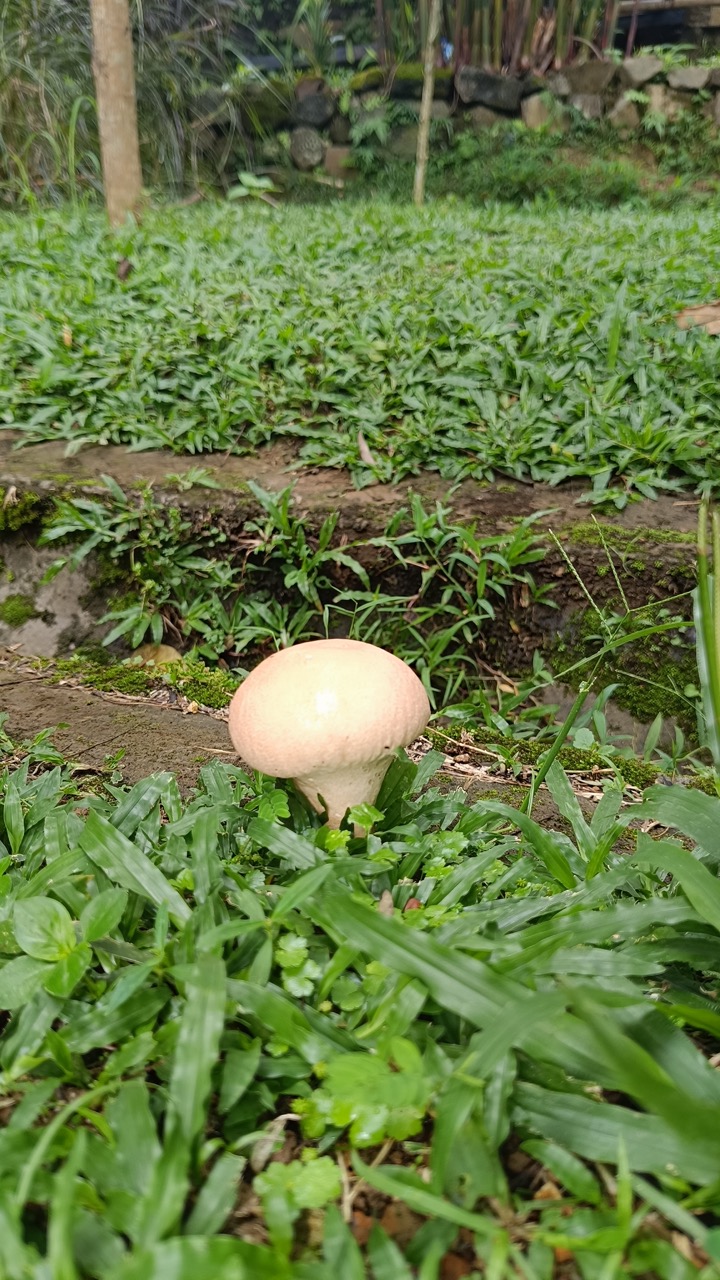 IMG_20250513_092121(1) Large