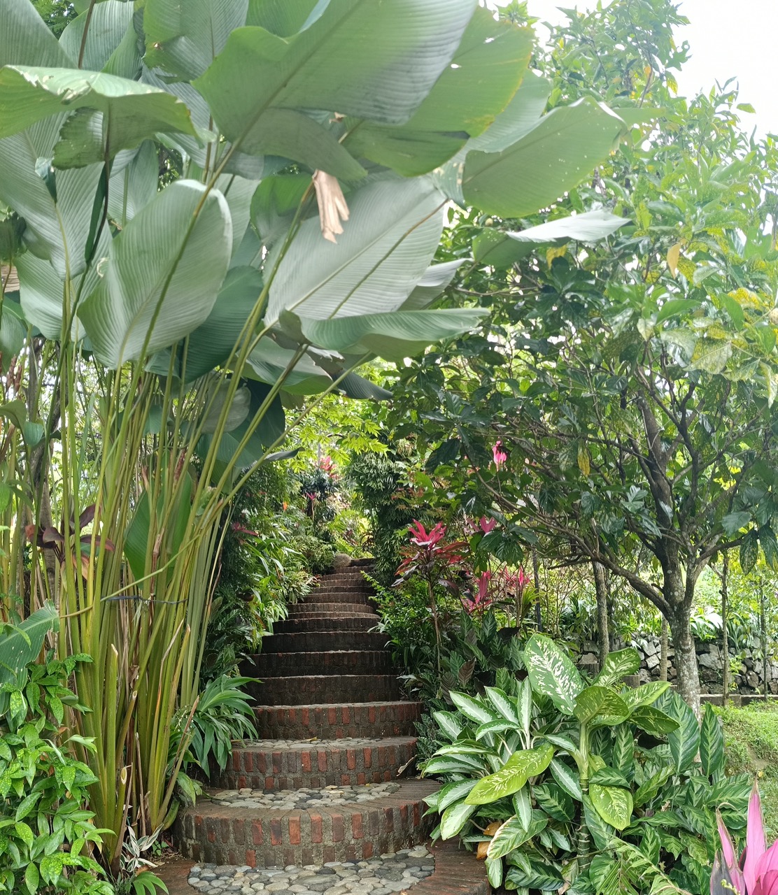 PANO_20250313_132604 Large